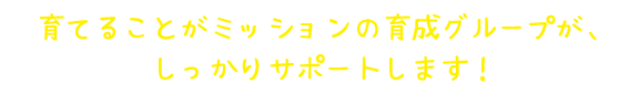 育てることがミッションの育成グループが、しっかりサポートします！