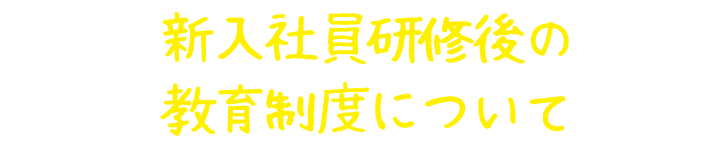 新入社員研修後の教育制度について